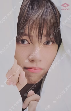 MIIM COLLECTION CARD BASE