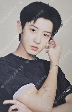 2025 EXO FANMEETING 'EXO'verse' RANDOM TRADING CARD SET CHANYEOL photocard image