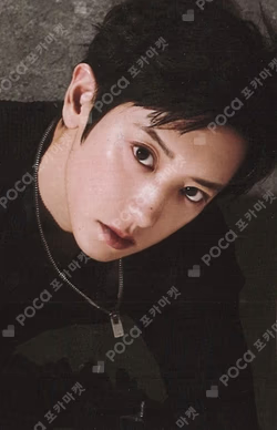 EXO POP-UP [REVERXE THE WORLD] Random Trading Card B ver. CHANYEOL photocard image