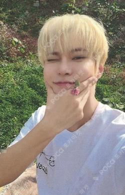 Promise JINGDONG LUCKY DRAW