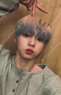 FLEX LINE ARAISE SHINYECHAN photocard image