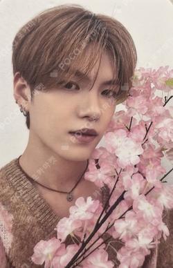 Lost and Found WHOSFAN