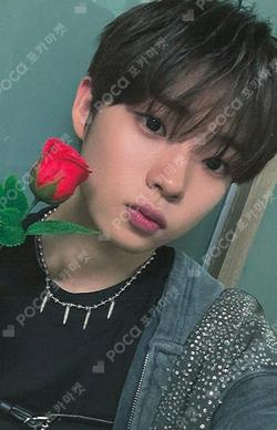 Kick-START DEAR MY MUSE SHINYECHAN photocard image