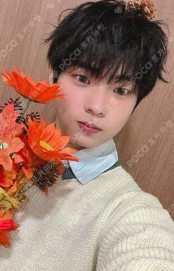 MY PRIDE NY MUSIC SHINYECHAN photocard image