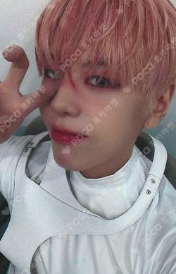 Wonderland JUMP UP JANGDAEHYEON photocard image