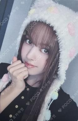 Fe3O4: FORWARD POPMERCH Lily photocard image