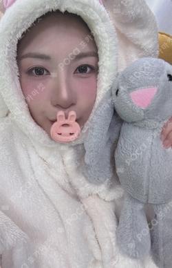 2026 Apink 8th Concert [The Origin : APINK] VIP HaYoung photocard image