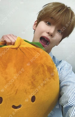 Trophy KPOP TOGETHER Kim Do Gyun photocard image