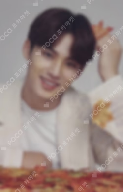 SEVENTEEN WORLD TOUR ODE TO YOU IN JAPAN TRADING CARD