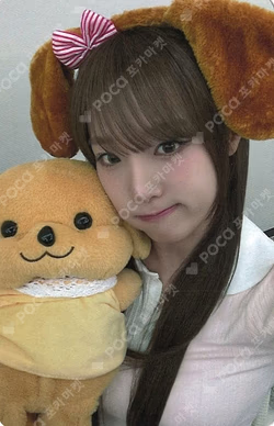 Blooming Wings Counting Stars