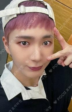 樂서(Story Written in Music) DEAR MY MUSE KEVIN photocard image