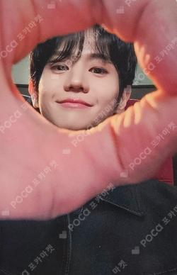 Unloved Echo MUSICART YANG YO SEOP photocard image