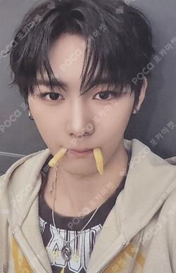 EUPHORIA RANDOM TRADING PHOTO CARD SET (STAR ROAD ver.) ANXIN photocard image