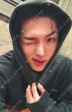 EVERYBODY’S GUILTY, BUT NO ONE’S TO BLAME KPOP TOGETHER KINO photocard image