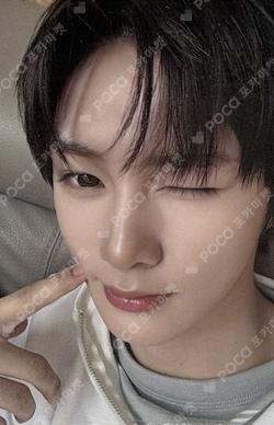 BRINGGREEN ANXIN photocard image