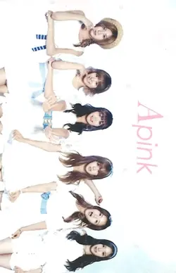 Apink Official FanClub PANDA 1 PHOTOCARD