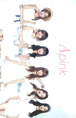Apink Official FanClub PANDA 1 PHOTOCARD Unit photocard image