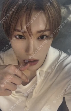 BRINGGREEN ARNO photocard image