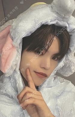 Lost and Found EVERLINE GYEHYEON photocard image