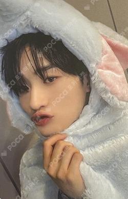 Lost and Found EVERLINE YONGSEUNG photocard image