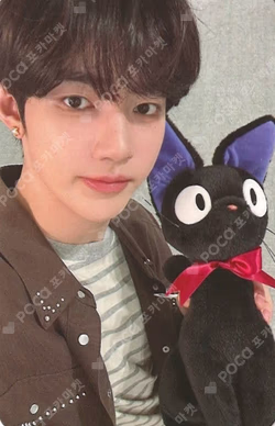 NEVER SAY NEVER FANME