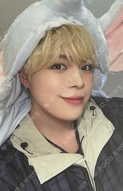 Lost and Found EVERLINE YEONHO photocard image