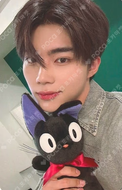 NEVER SAY NEVER FANME