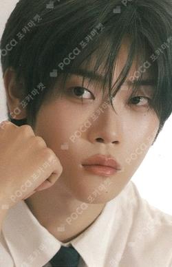 TELECA COLLECTION CARD 2025 K-POP ROOKIE PROMOTIONAL CARD