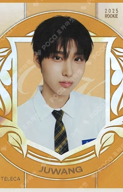 TELECA COLLECTION CARD 2025 K-POP ROOKIE SSP