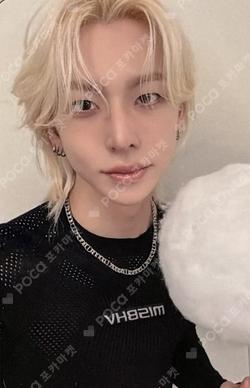 LOUD & PROUD EVERLINE