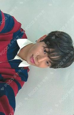 LOVE ANECDOTE(S) ITTA