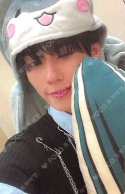 LOVE ANECDOTE(S) SOUND WAVE