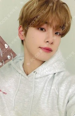 Trophy EVERLINE Kim Do Gyun photocard image
