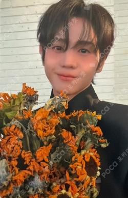 Unloved Echo YANG YO SEOP photocard image