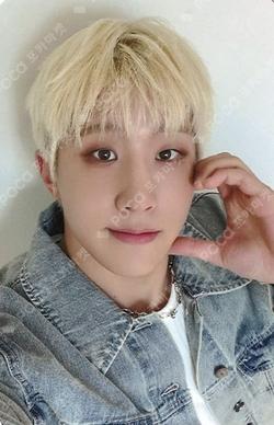 DICE EVERLINE LUCKY DRAW JINJIN photocard image