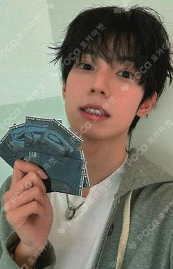 Sweet Dream SOUND WAVE