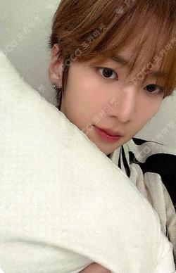 Trophy Hellolive shop