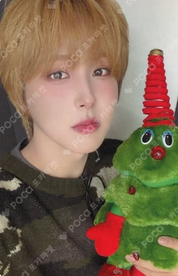 MAZE : AD ASTRA EVERLINE GIUK photocard image