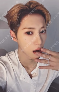 EUPHORIA MUSICPLANT ARNO photocard image