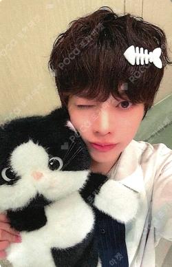 As I am Hellolive shop HANBIN photocard image