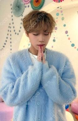 Find Jihoon! PARK JI HOON photocard image