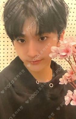 UNDENIABLE 1st music Kaedan photocard image