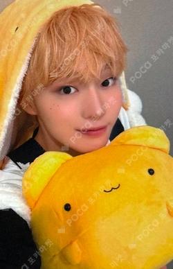 My First Flip APPLEMUSIC