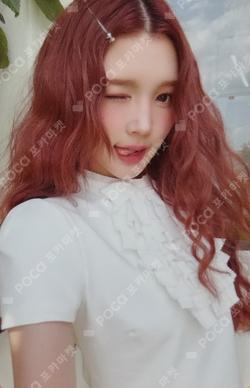 2026 SEASON'S GREETINGS PHOTO PACK A-Na photocard image