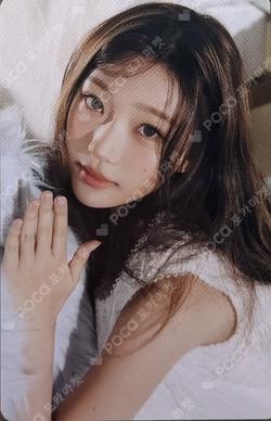 2026 SEASON'S GREETINGS PHOTO PACK Stella photocard image