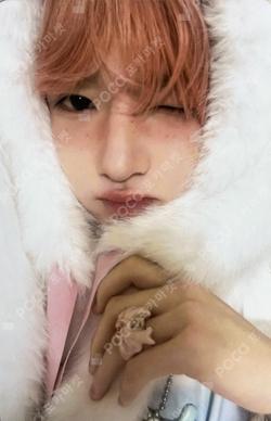 2026 SEASON'S GREETINGS TOOTH FAIRY SET