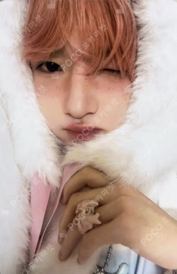 2026 SEASON'S GREETINGS TOOTH FAIRY SET SAKUYA photocard image