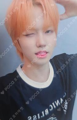 WHO WE ARE Starlike Music JUWON photocard image