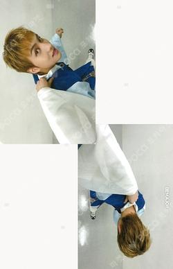 Trophy DEAR MY MUSE Cho Seong Il photocard image