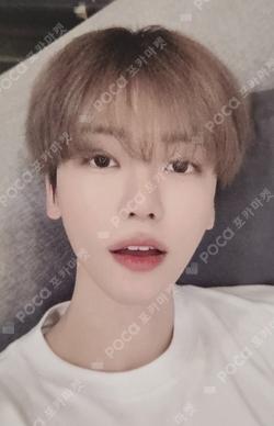 SWEET Dreamiez POP-UP MEDIUM FACE CUSHION JAEMIN photocard image